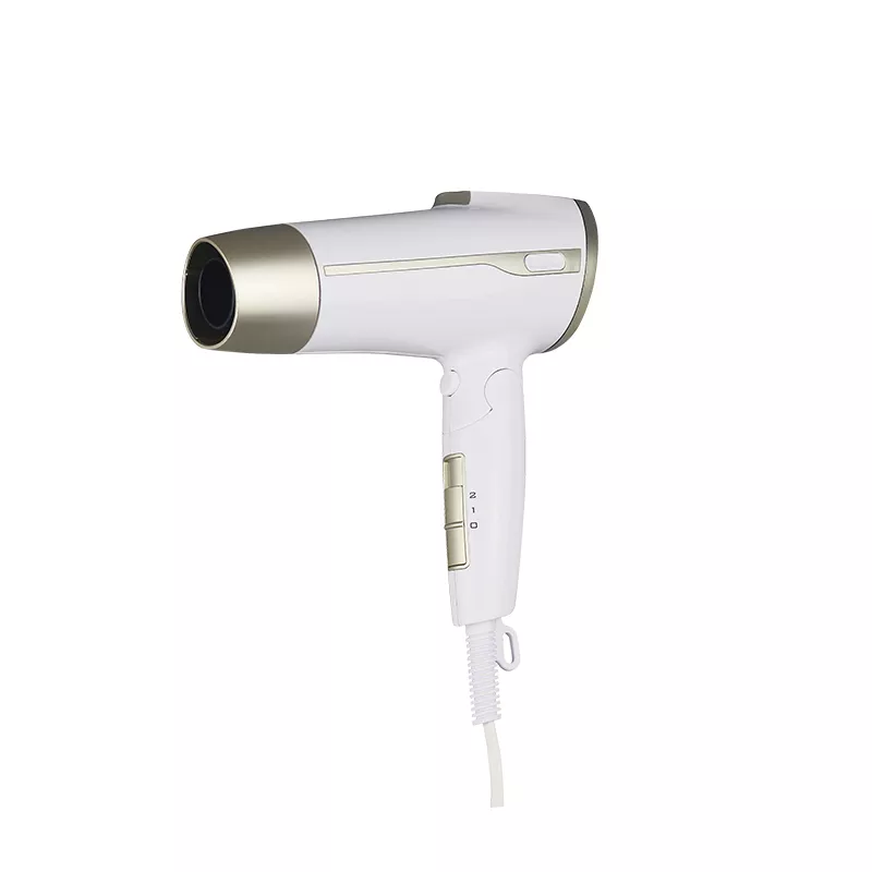 HAIR dryer-ZC2000