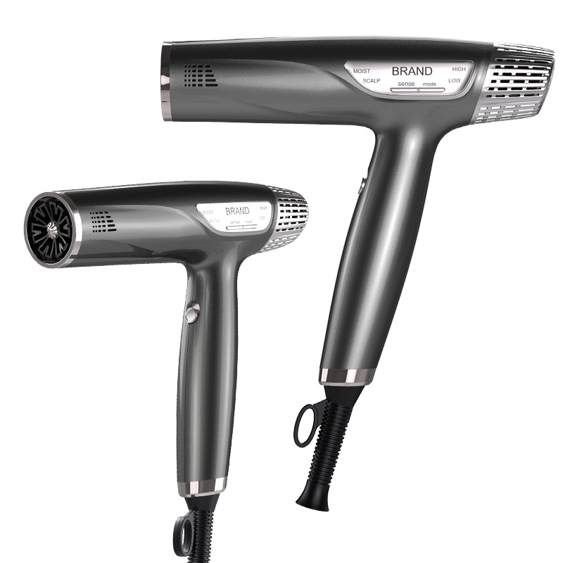 BLDC Dryer ZC-08
